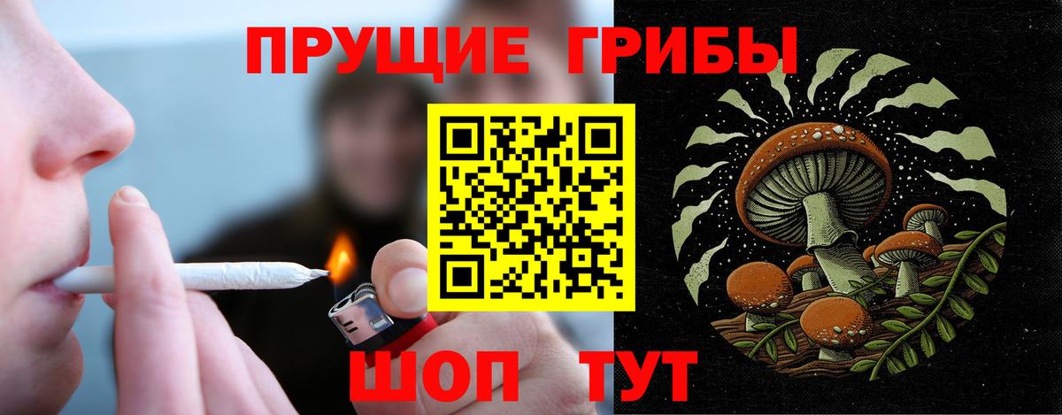Псилоцибиновые грибы Psilocybe  Вход с VPN  Галлюциногенные грибы GOLDEN TEACHER  Сокол 