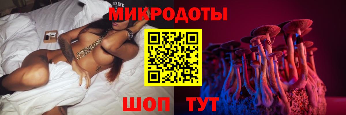 Псилоцибиновые грибы Cubensis Сокол